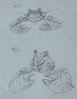 crabs01