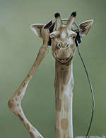 Girafe With Headphones